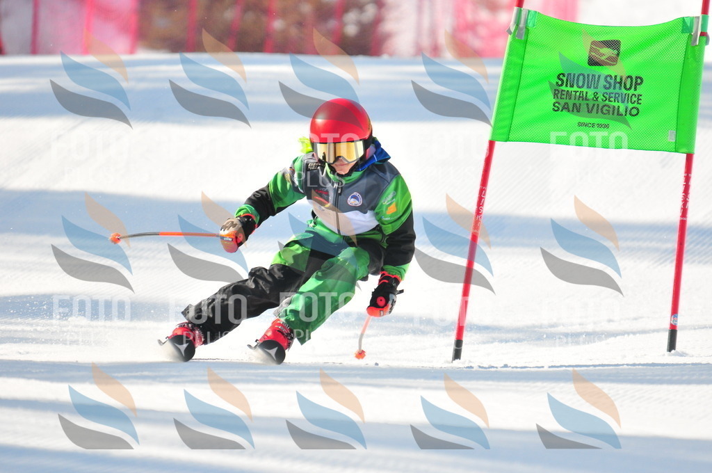 B8690 | holidayphoto