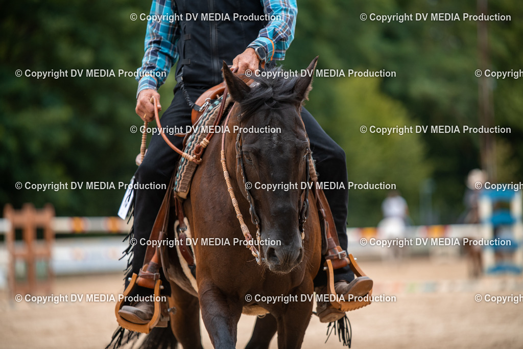 ZS2_8530 | dv-media-shop - Realisiert mit Pictrs.com