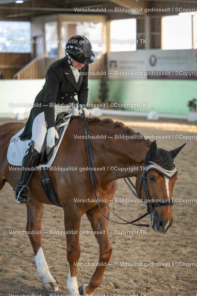 _D5A0873 | Emotionale Pferde- & People-Fotografie rund um Heidelberg, Leimen & Umgebung. Natürliche Fotos von Pferd, Mensch & Familie. Jetzt Termin sichern!