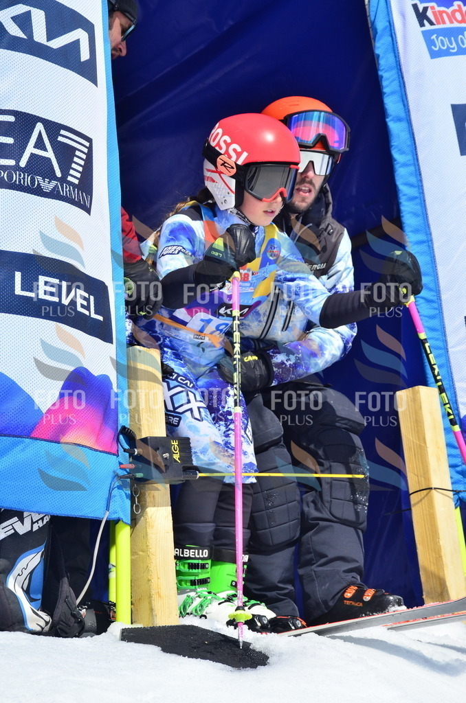 _ELE1212 | holidayphoto