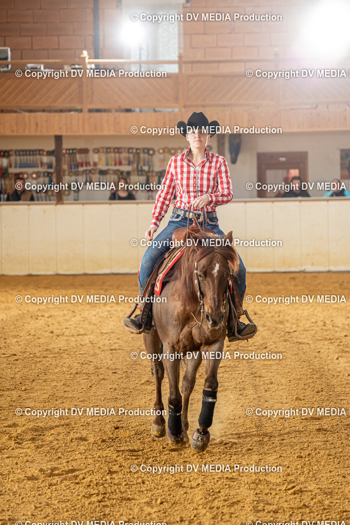 MIT00663 | dv-media-shop - Realisiert mit Pictrs.com