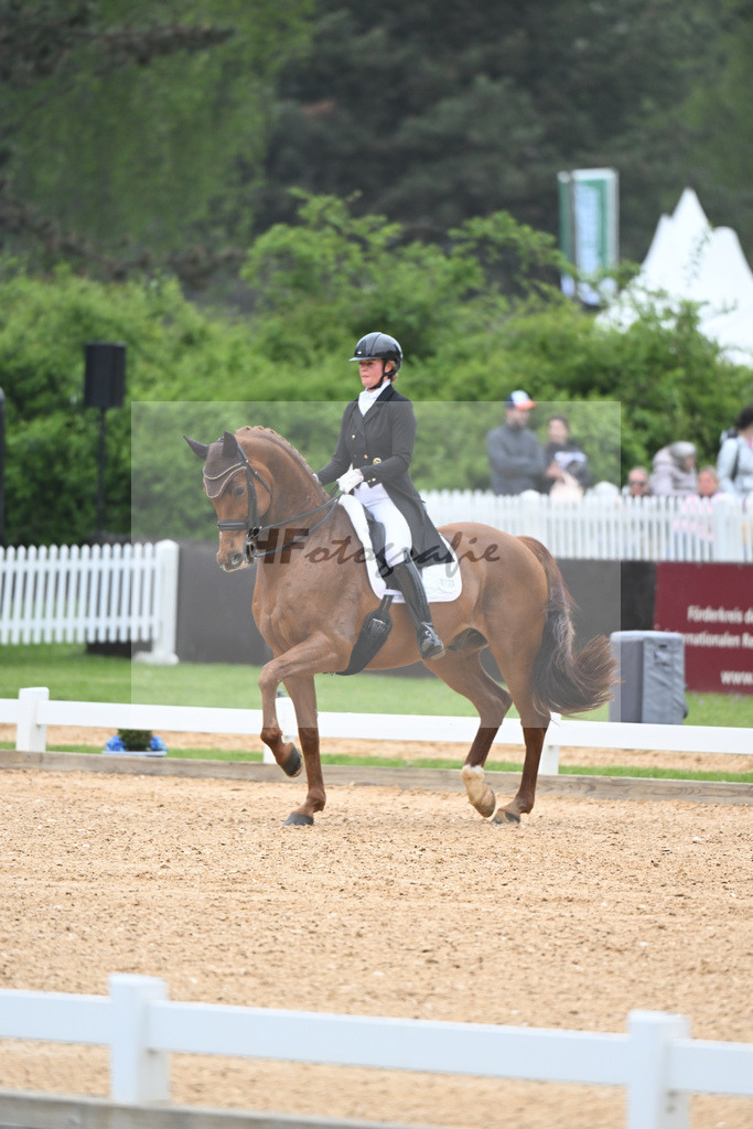 Ponnath_Fifty Fifty_11232327 | hf-fotografie - Realisiert mit Pictrs.com