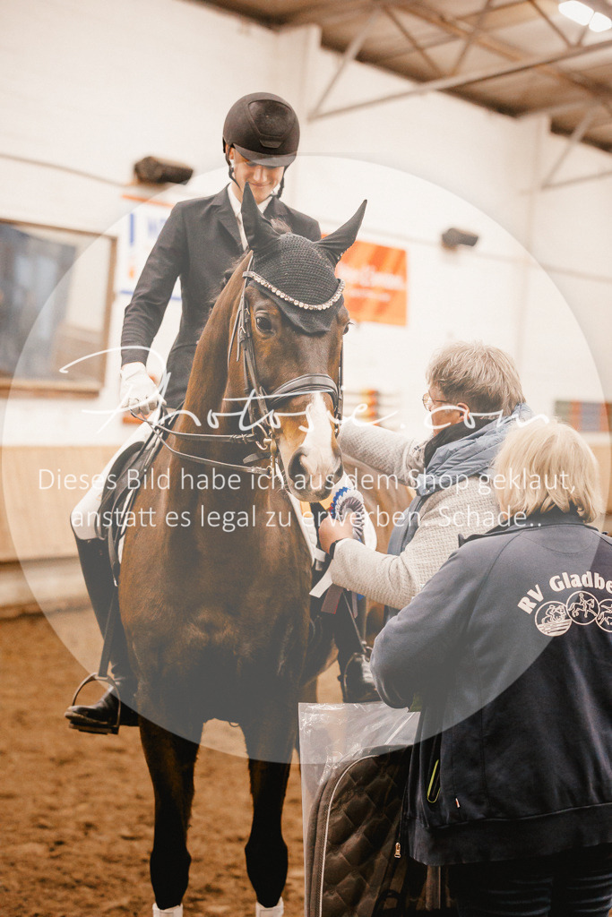 3I6A7191 | Stimmungsvolle Portraits und Reitsportfotografie im Ruhrgebiet und im Münsterland.

Pferdefotografie, Hundefotografie, Tierfotografie, Reportagen, Portraits von Tier und Mensch, Turnierfotografie in Bochum, Recklinghausen, Marl, Haltern am See, Dülmen.. - Realisiert mit Pictrs.com