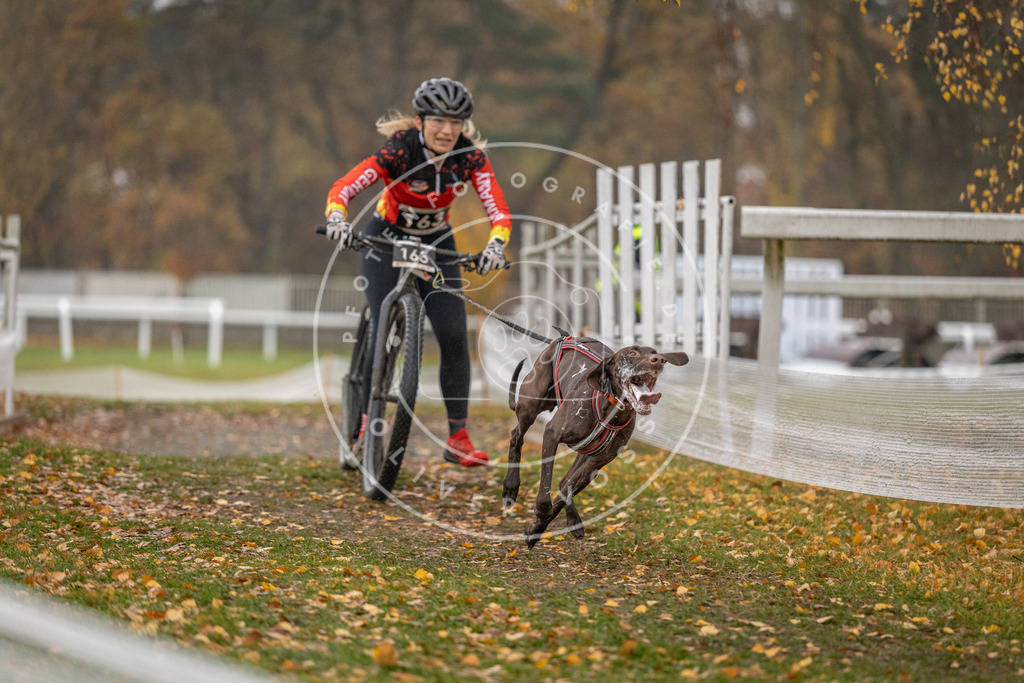 CaniXpix_DV3A7465 | Hundefotografie, Tierfotograf, Pfotenfotografie, Fotoshooting Hund, Hunde Portrait, Hundesport, Hundeportraits, Heideshooting, Hunde, Sportfotograf, Hundefotograf, Turnierhundsport, THS,  - Realisiert mit Pictrs.com
