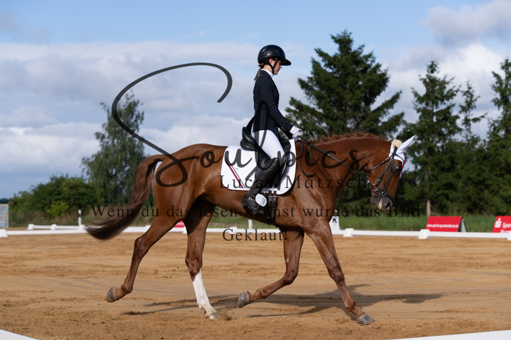 A7V05133 | Pferdefotograf