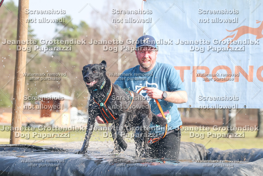 Dog Paparazzi - Strongdog North Mrz26-2229 | Dog Paparazzi Jeanette Grottendiek Fotografie & Videografie - Realisiert mit Pictrs.com