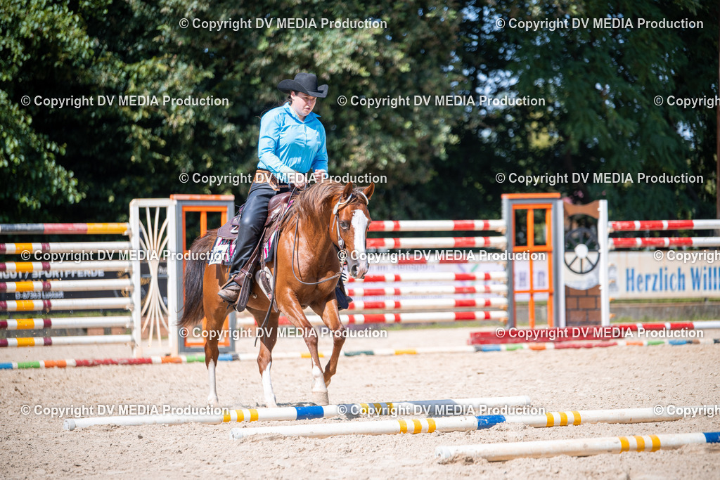 ZS1_1610 | dv-media-shop - Realisiert mit Pictrs.com