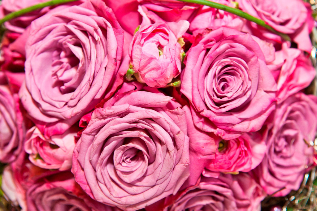 top-top.de Hochzeiten197 | Foto, Video, Fotografie, Videografie, Fotobox, DJ, Discjockey, Musik, Musikbox, Veranstaltung, Photobooth, Amazon, Ebay, Buchtipp, Bestseller, Autor, Verlag, Buch, Wesel, Hamminkeln, NRW, Dinslaken, Rees, Drohne, Hochzeit, Party, Fotobox, Wesel, Fotograf