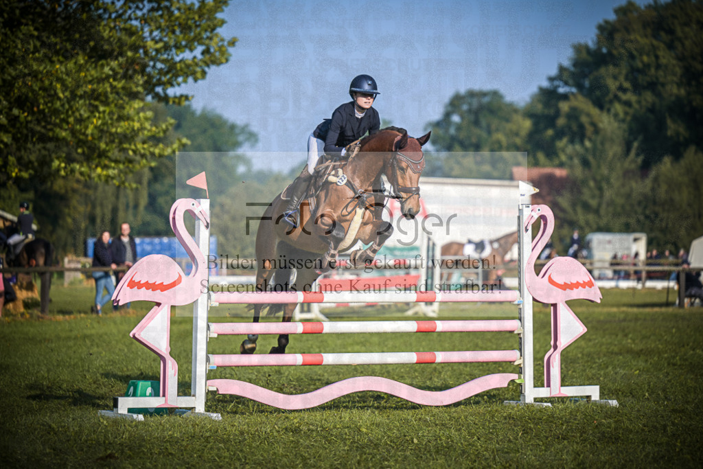 DOS_0657 | Entdecke hochwertige Reitturnierfotos von Foto Oger. Professionell, emotional und authentisch – jetzt Lieblingsmomente im Shop bestellen.Deutschlandweite Turnierfotografie. - Realisiert mit Pictrs.com