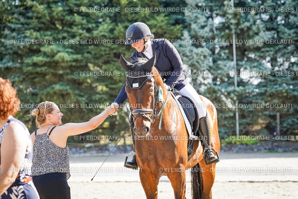 DSC00166 | Pferdegrafie