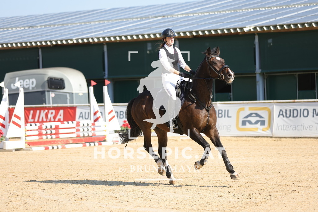 0P6A4919 | Willkommen bei Brunnmayr - Design & Fotografie – Ihrem Spezialisten für Reitturniere und Pferdeveranstaltungen in Oberösterreich, Salzburg und Bayern! Seit über 17 Jahren sind wir leidenschaftlich dabei.