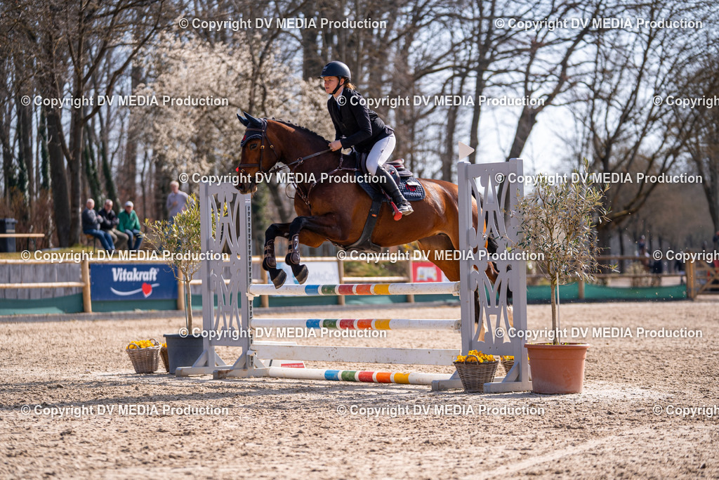 Kranichstein Tag 1-424 | dv-media-shop - Realisiert mit Pictrs.com