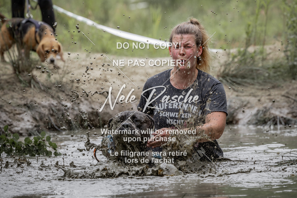 nelerasche_so1445-1515_412 | nelerasche