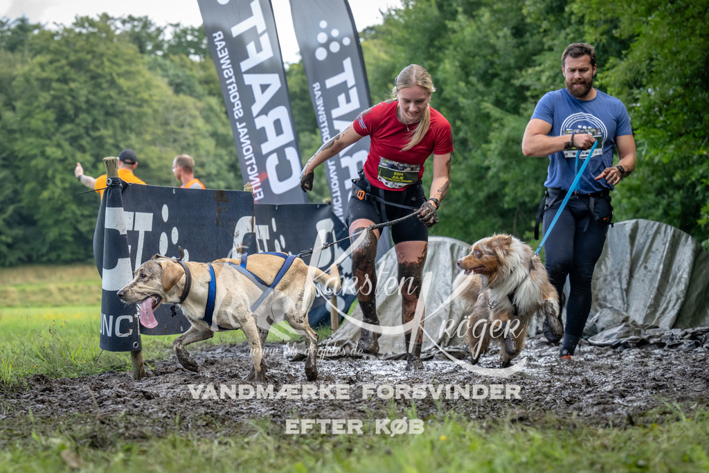 1144_ZZ94087 | kk-dogfotos