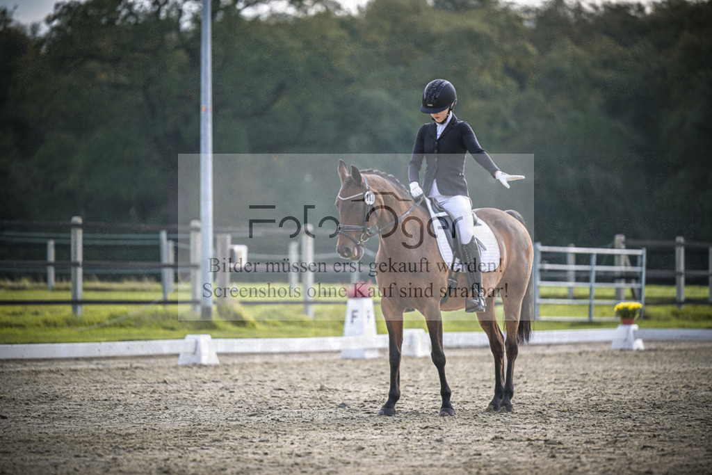 DOS_B127 | Entdecke hochwertige Reitturnierfotos von Foto Oger. Professionell, emotional und authentisch – jetzt Lieblingsmomente im Shop bestellen.Deutschlandweite Turnierfotografie. - Realisiert mit Pictrs.com