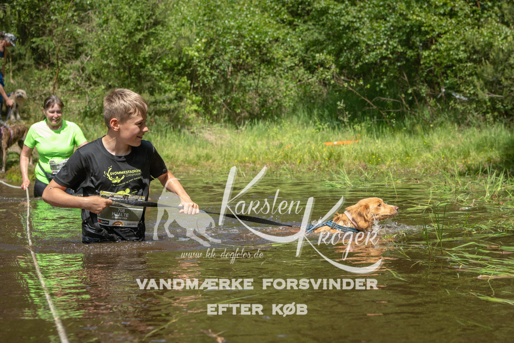 1210DKK992027 | kk-dogfotos