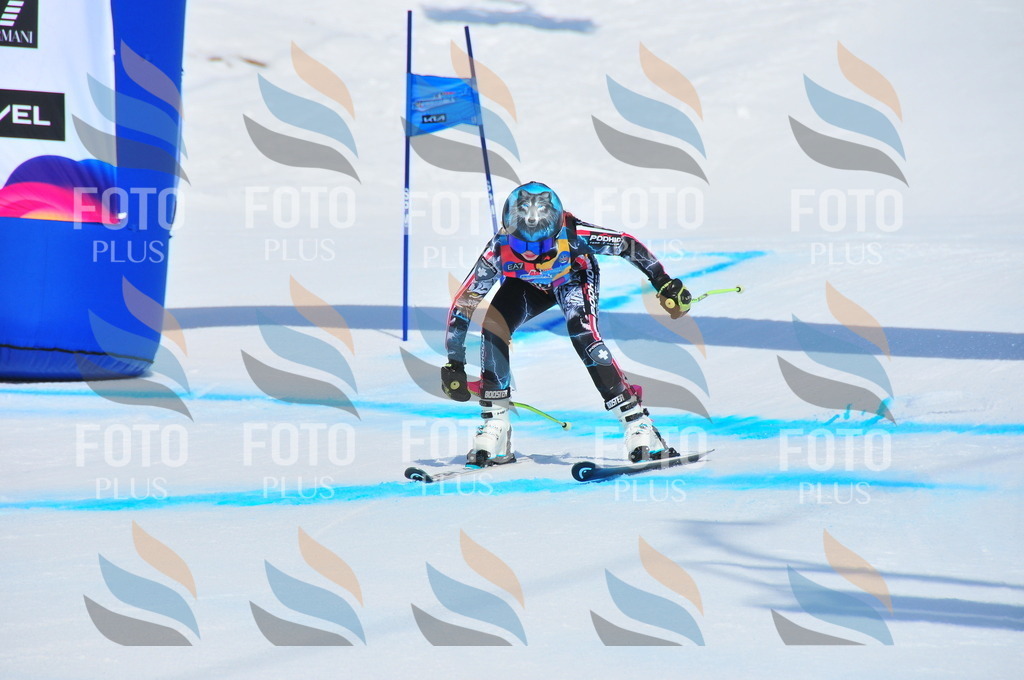 DSC_5120 | holidayphoto