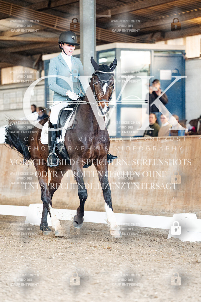 CK900980 | Turnierfotografie Pferdefotografie Trier Rheinland-Pfalz Pferdesport Reitsport Tierfotografie Sportfotografie Pferdevideo Pferdevideografie Equestrianvideography equestrianphotography  - Realisiert mit Pictrs.com
