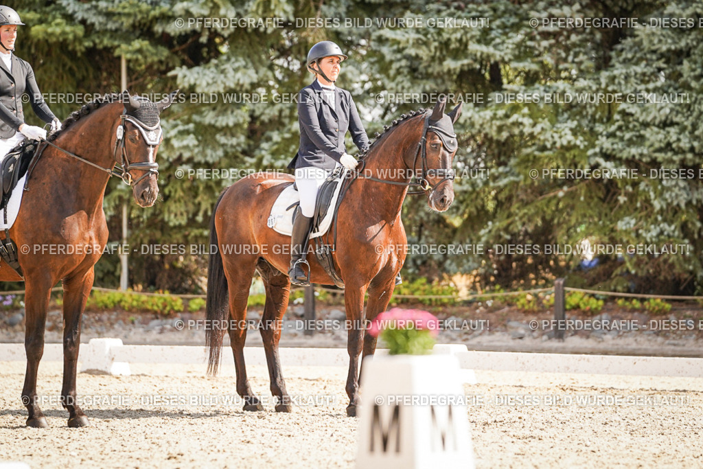 DSC00874 | Pferdegrafie