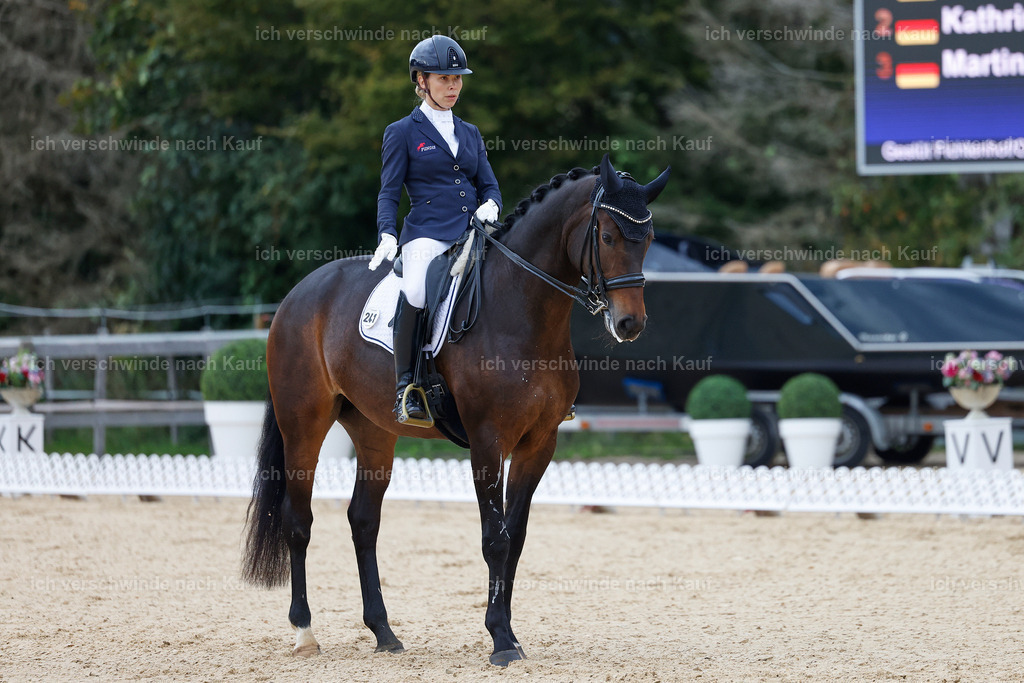 3-241-Dressur M_-StoibPH-2328 | working equitationturnier fotograf videograf stoibphotography marixx film working equitation deutschland reitsport turnierfotografie eventfotografie equestrian events