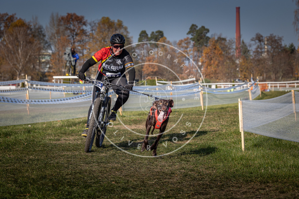 CaniXpix_0L8A7440 | Hundefotografie, Tierfotograf, Pfotenfotografie, Fotoshooting Hund, Hunde Portrait, Hundesport, Hundeportraits, Heideshooting, Hunde, Sportfotograf, Hundefotograf, Turnierhundsport, THS,  - Realisiert mit Pictrs.com