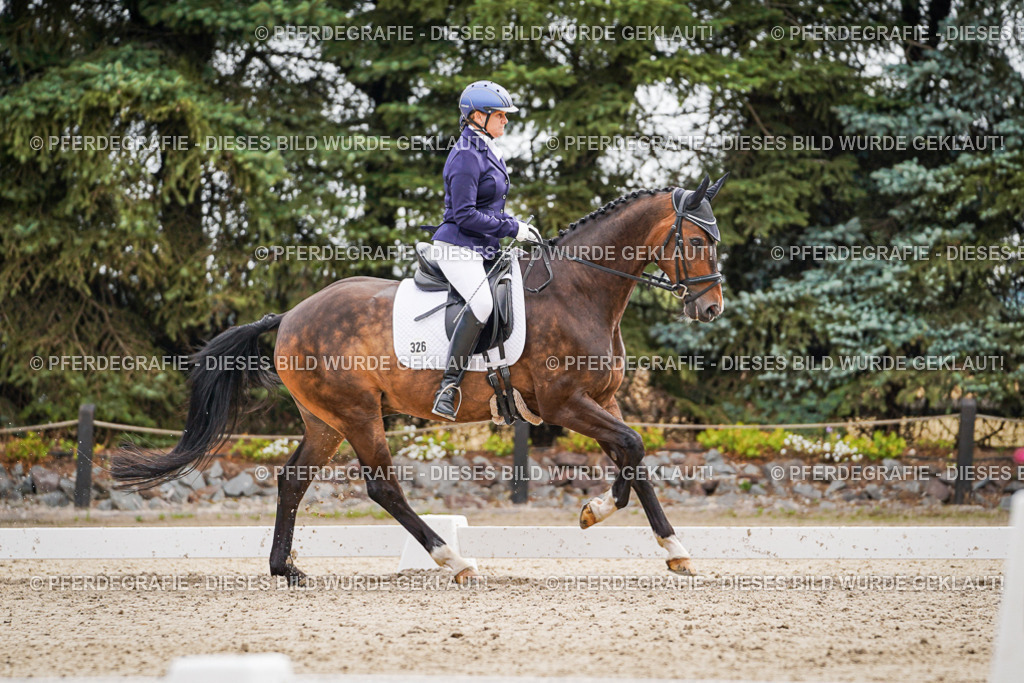 DSC02029 | Pferdegrafie