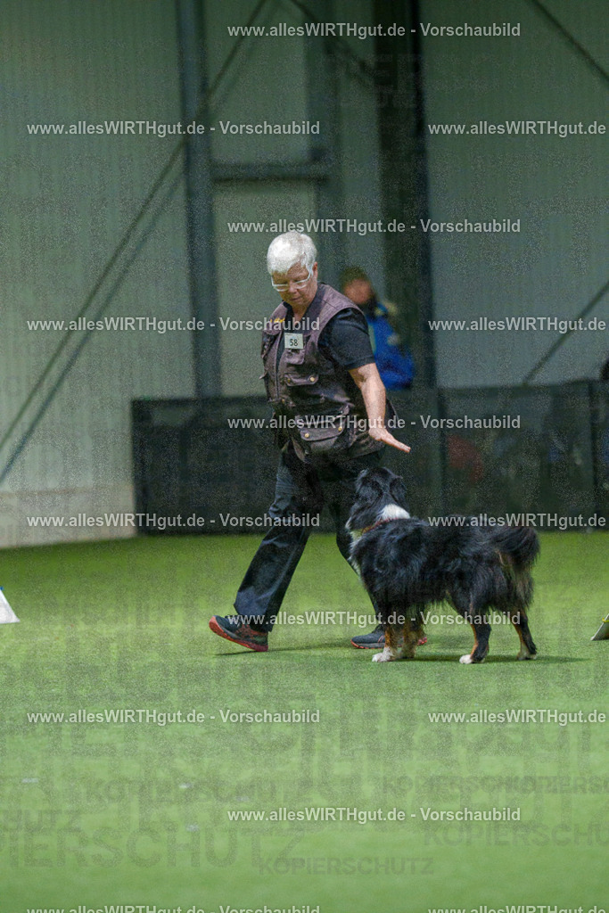 7R507100 | Professionelle Tierfotografie in Mönchengladbach von Daniel Wirth (allesWIRTHgut). Liebevolle & natürliche Bilder von Hunden & Katzen für unvergessliche Erinnerungen.