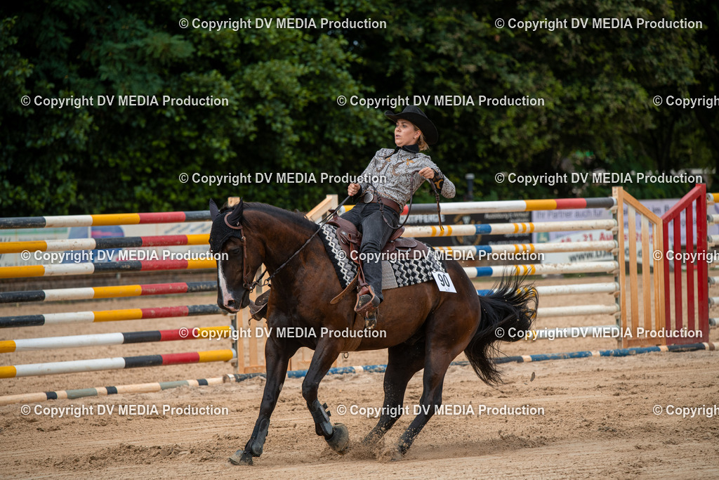 ZS2_8745 | dv-media-shop - Realisiert mit Pictrs.com