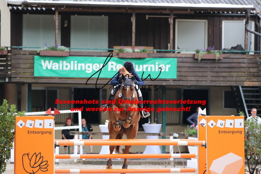 IMG_8478 | lmwpictures - Realisiert mit Pictrs.com