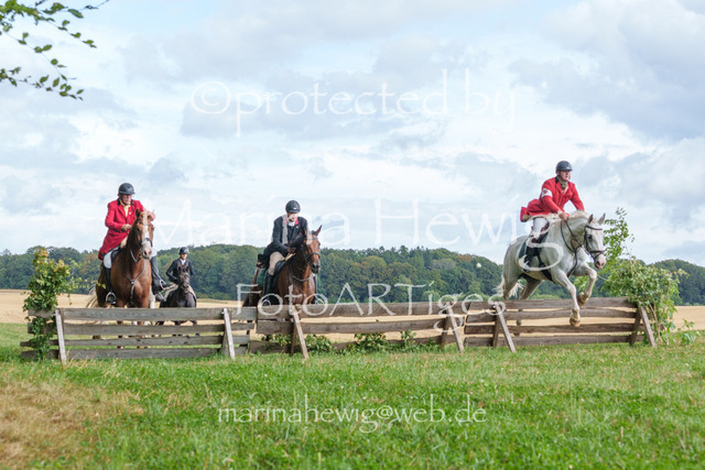 Jagd Knoop 26_MarinaHewigMCH02607 | Fotografie, FotoArt, PferdesportArt, Pferdesportfotografie, Landschaftsfotografie, Reisefotografie, Reise, Pferde - Realisiert mit Pictrs.com