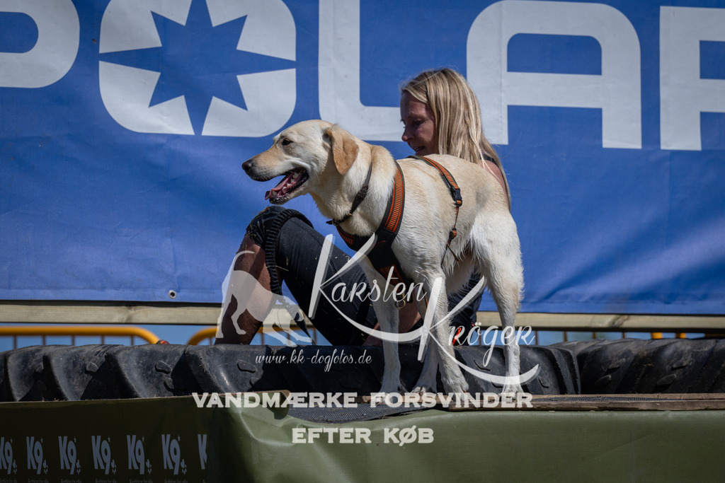 1225_ZZ95200 | kk-dogfotos