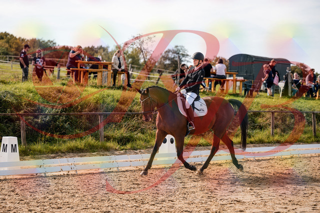 2026_10_03_Siefer-Hof_131003_Z63_72189474 | Professionelle Reitsport-, Turnier- und Eventfotografie von Robert Broda. Galerien mit ausgewählten und bearbeiteten Bildern direkt online ansehen und bestellen.