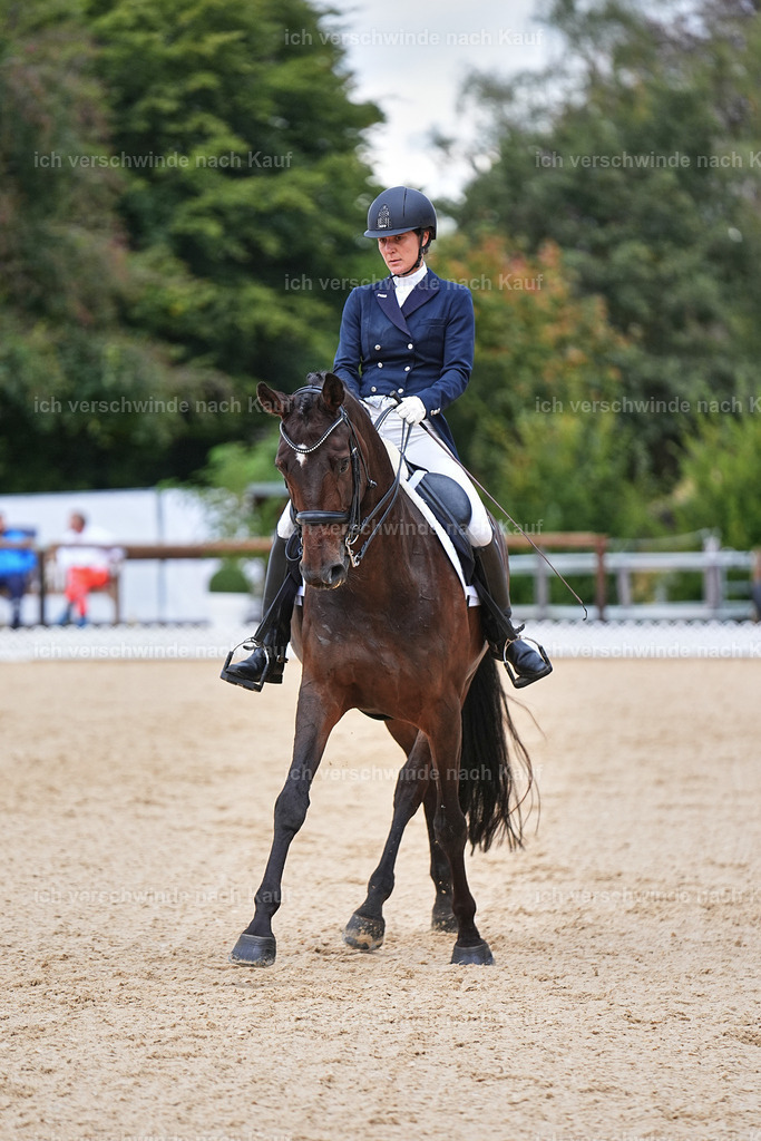 8_1-087-Klasse S_  -Marixx-4120 | working equitationturnier fotograf videograf stoibphotography marixx film working equitation deutschland reitsport turnierfotografie eventfotografie equestrian events