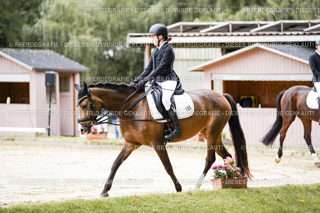 DSC04547 | Pferdegrafie