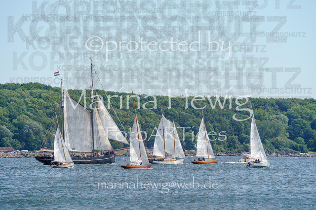 ClassicWeek-2_MarinaHewig | Fotografie, FotoArt, PferdesportArt, Pferdesportfotografie, Landschaftsfotografie, Reisefotografie, Reise, Pferde - Realisiert mit Pictrs.com