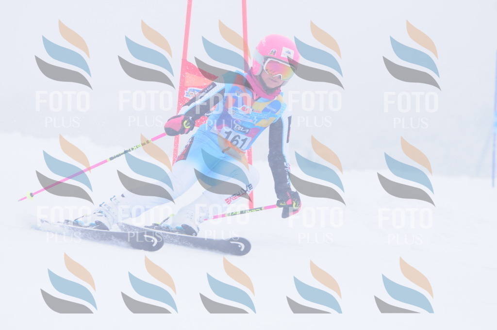 C1908 | holidayphoto