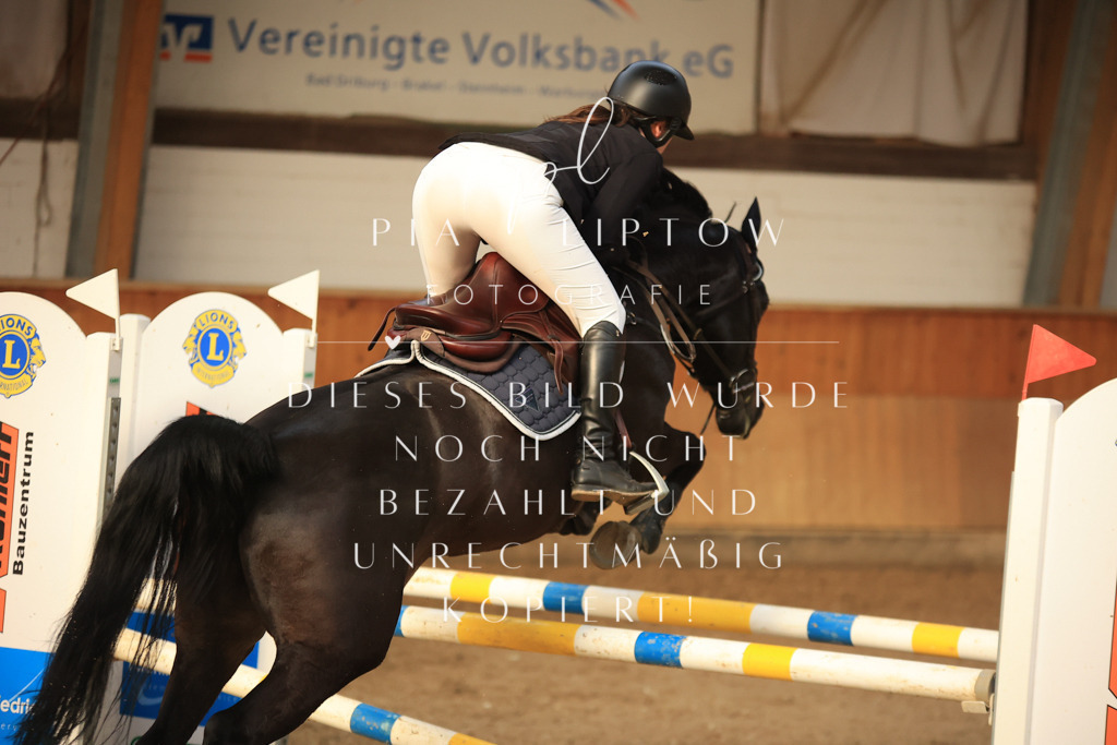 IMGT6528 | pl-fotografie