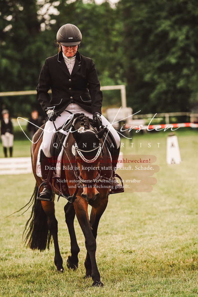 DSC_4946 | Pferde- und Turnierfotografie in Westsachsen. Pferdeportraits, Auftragszeichnungen und intuitive Kunst.