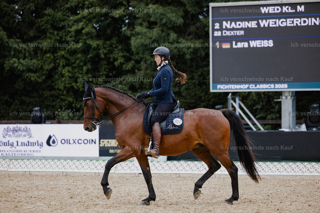 Nadine22_FHC2025-8 | working equitationturnier fotograf videograf stoibphotography marixx film working equitation deutschland reitsport turnierfotografie eventfotografie equestrian events