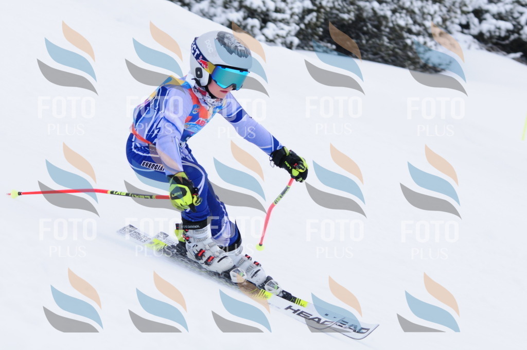 C3250 | holidayphoto