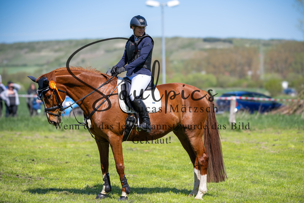 A7V01159 | Pferdefotograf