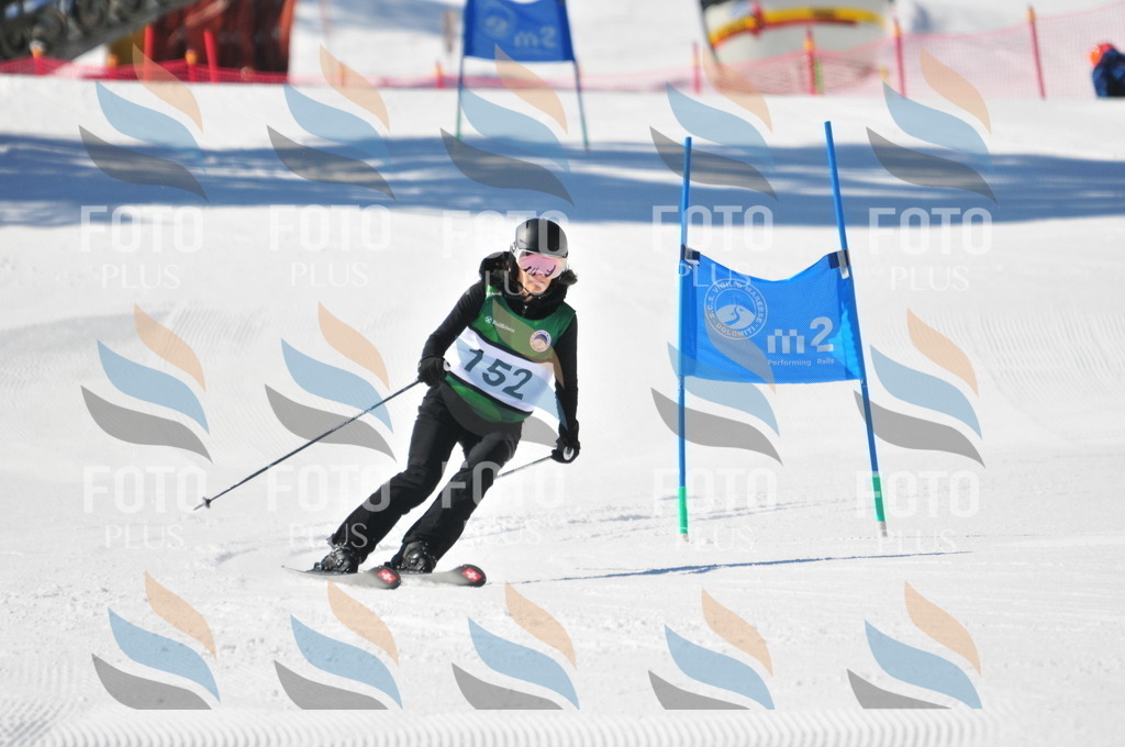 C4066 | holidayphoto