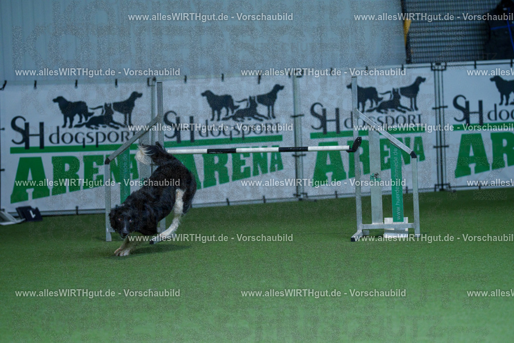 @allesWIRTHgut_Tierfotografie - www.allesWIRTHgut.de - 2604251230-7R501974 | Professionelle Tierfotografie in Mönchengladbach von Daniel Wirth (allesWIRTHgut). Liebevolle & natürliche Bilder von Hunden & Katzen für unvergessliche Erinnerungen.