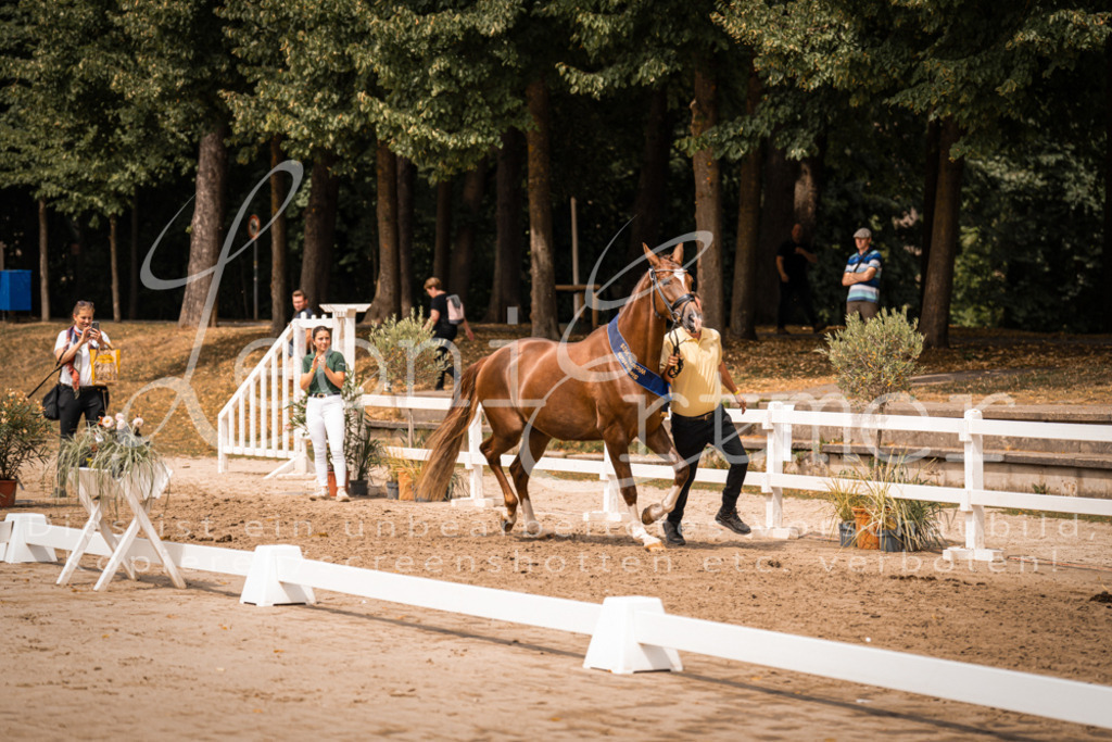 3.Fr00250 | Leoni Ertmer Photography - Realisiert mit Pictrs.com