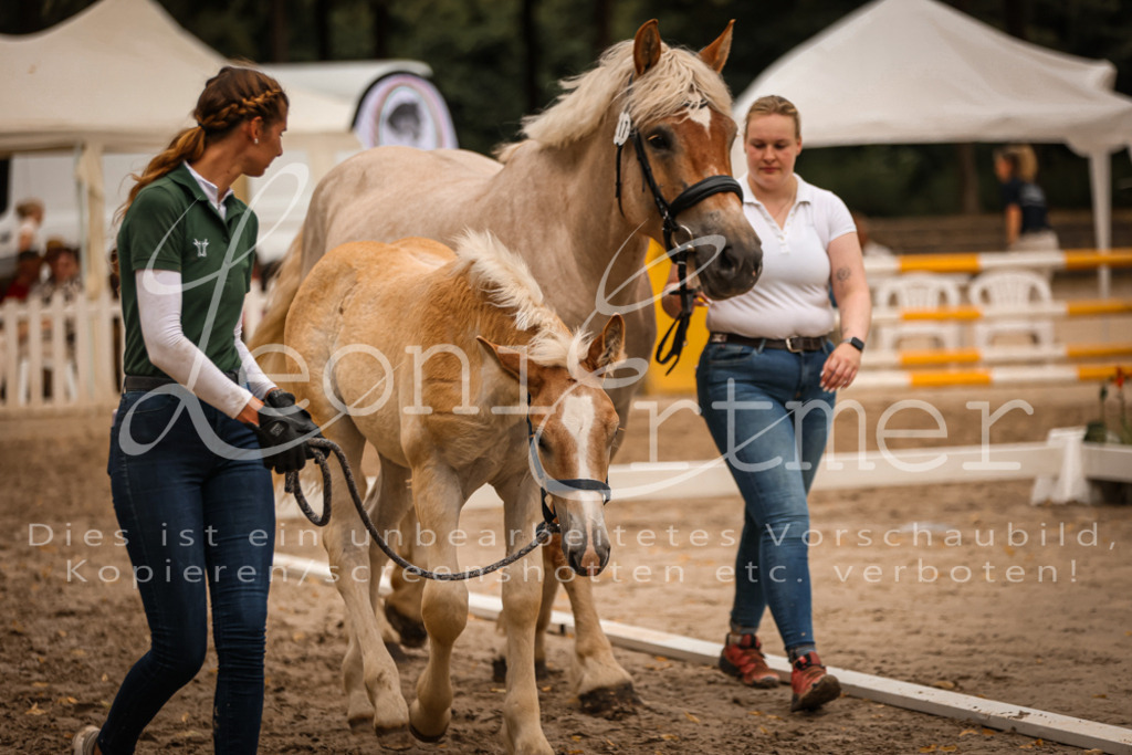 SaHF00137 | Leoni Ertmer Photography - Realisiert mit Pictrs.com