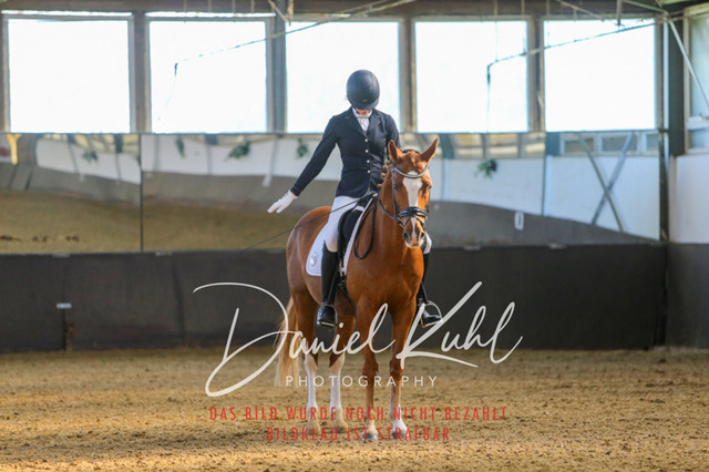 IMG_3024 | Turniersportfotografie; Pferdefotografie; Dressurfotografie