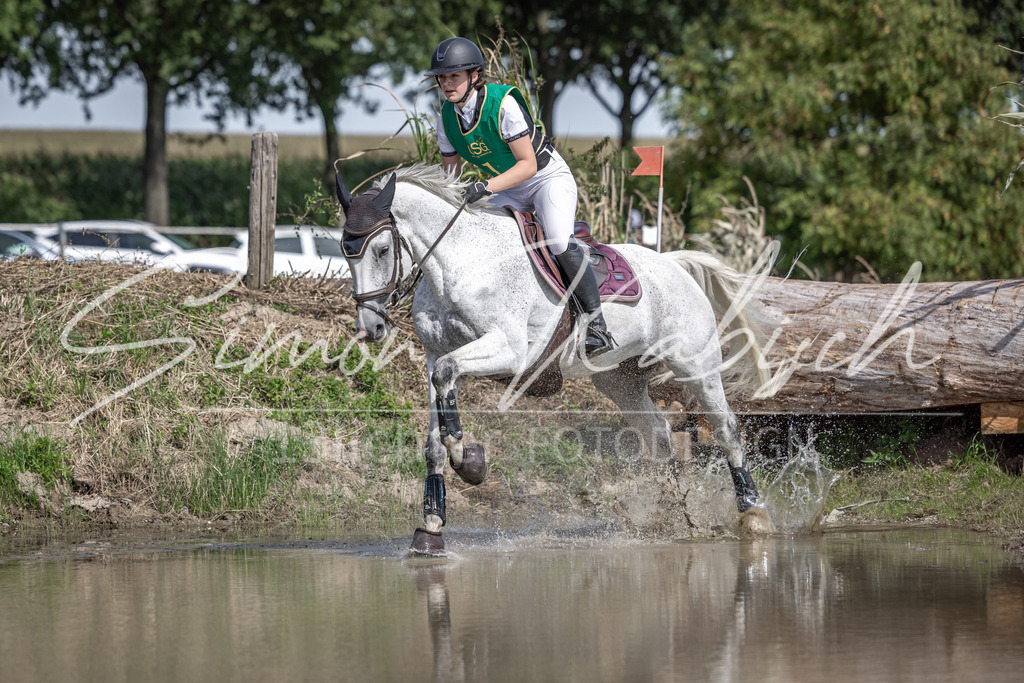 20250907-_3LI0683 | Tierfotografie Pferde, Hunde, Katzen, Haustiere.
Turnierfotografie Reitturniere, Reiten, Springreiten, Dressur in Hanau, dem Main-Kinzig-Kreis und dem Rhein-Main- Gebiet um Frankfurt