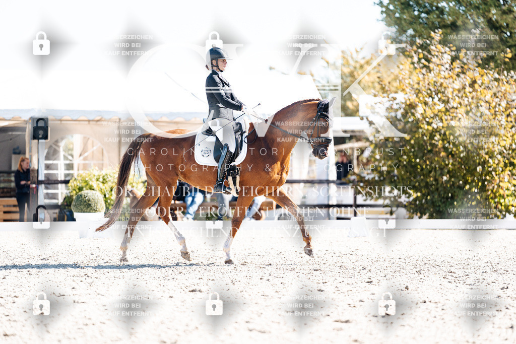 CK909143 | Turnierfotografie Pferdefotografie Trier Rheinland-Pfalz Pferdesport Reitsport Tierfotografie Sportfotografie Pferdevideo Pferdevideografie Equestrianvideography equestrianphotography  - Realisiert mit Pictrs.com