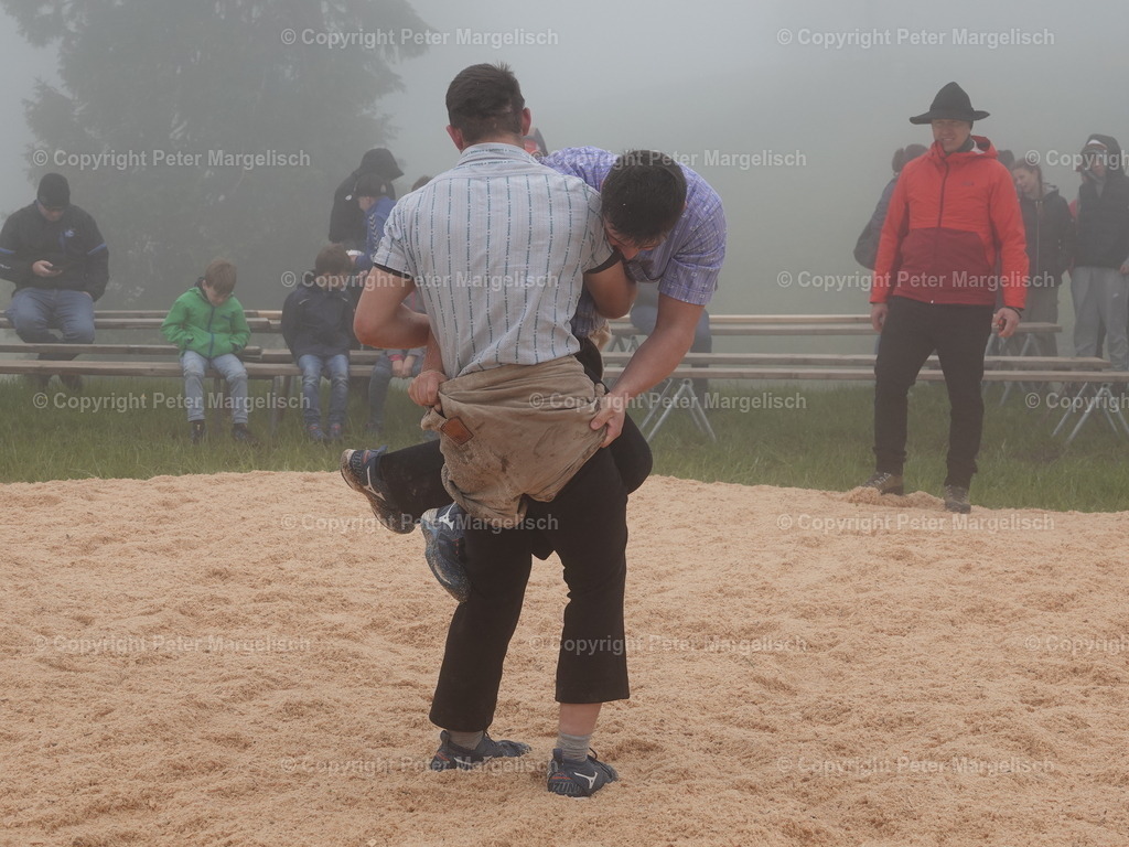 DSC07847 | Schwingen - Realisiert mit Pictrs.com