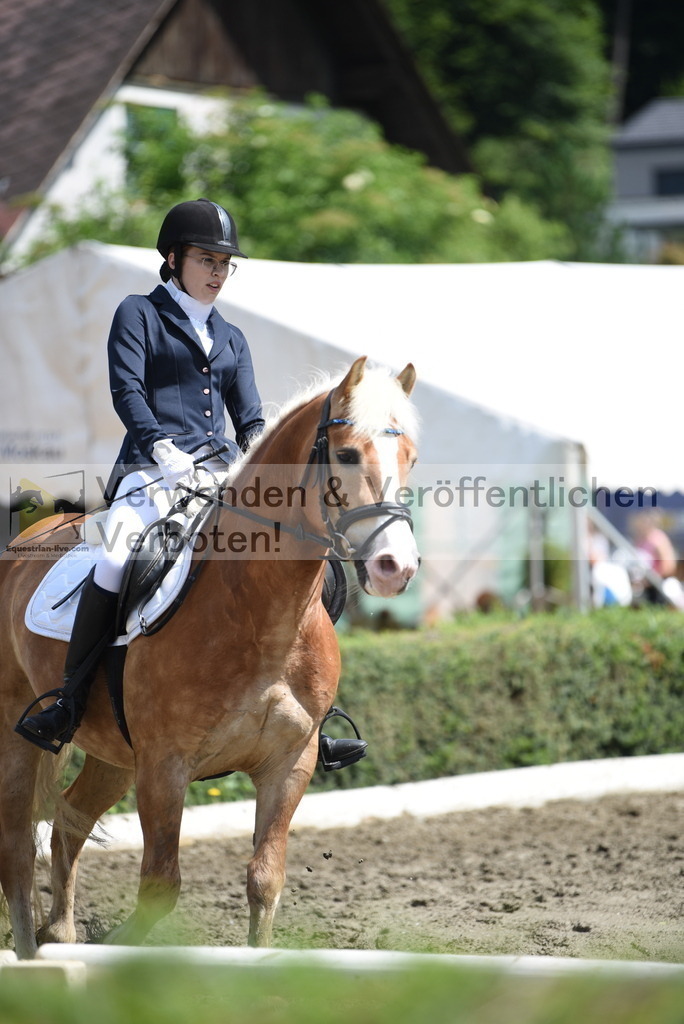 DSC_0429 | equestrian-live-com